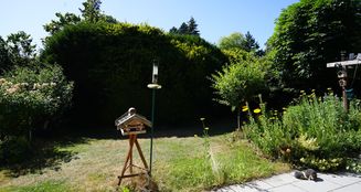von_poll_real_estate_property_25035025_image_4