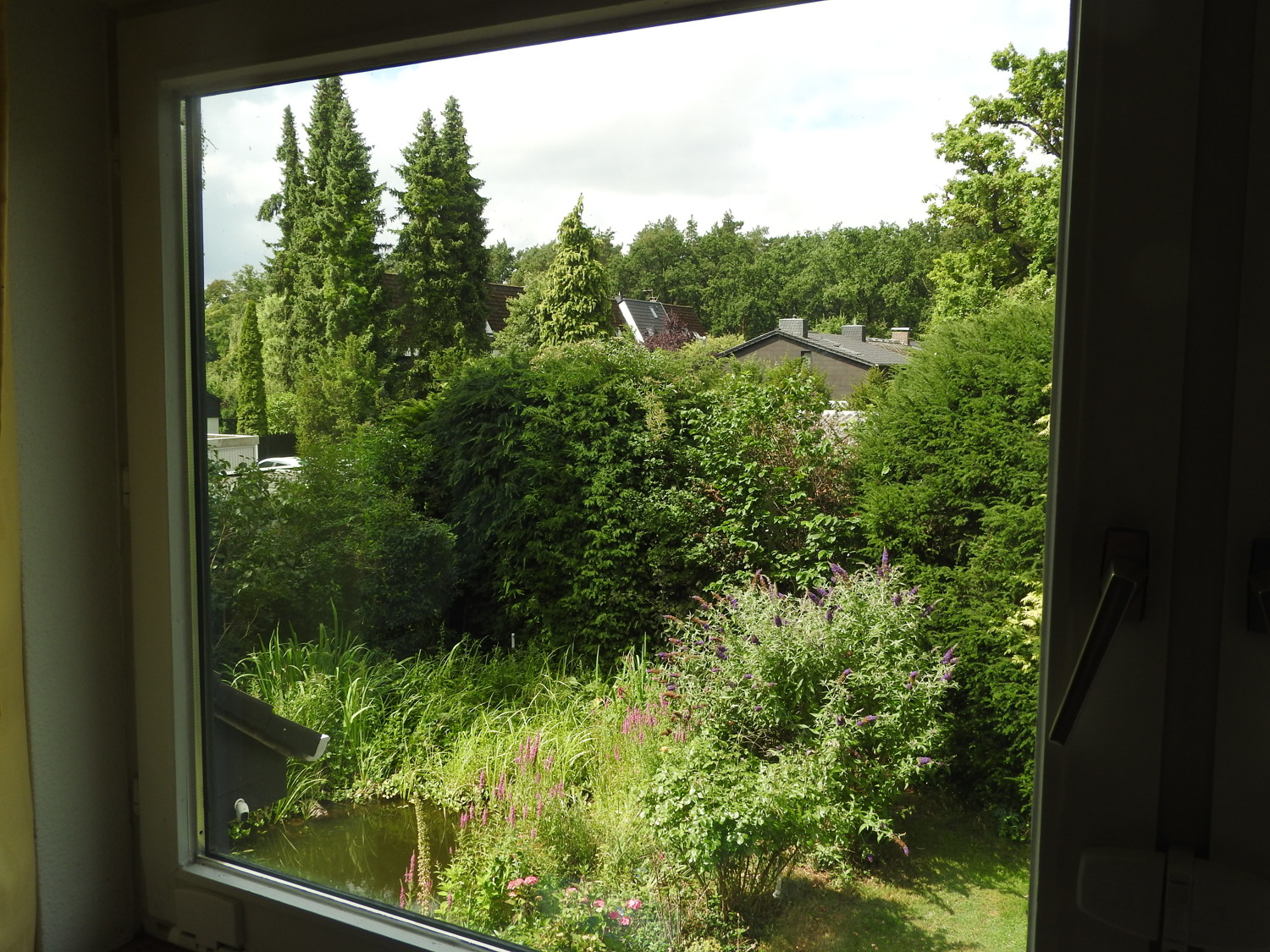 Ausblick in den Garten