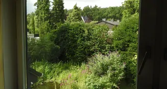 von_poll_real_estate_property_25035025_image_15