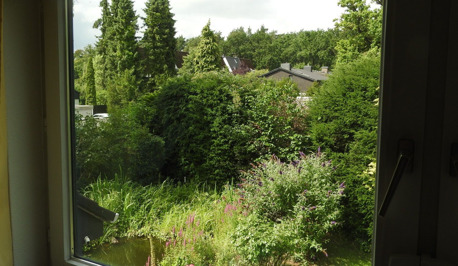 Ausblick in den Garten