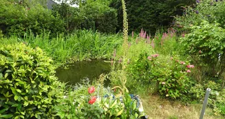 von_poll_real_estate_property_25035025_image_20