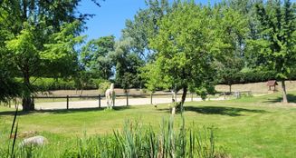 von_poll_real_estate_property_24035046_image_0