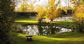 von_poll_real_estate_property_24035046_image_6