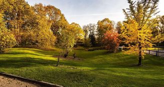 von_poll_real_estate_property_24035046_image_5
