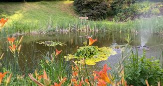 von_poll_real_estate_property_24035046_image_7