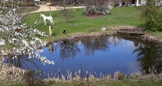 von_poll_real_estate_property_24035046_image_10