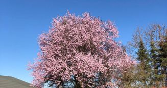 von_poll_real_estate_property_24035046_image_11
