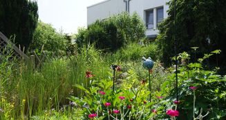 von_poll_real_estate_property_25035022_image_5