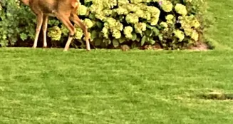 von_poll_real_estate_property_25035002_image_2