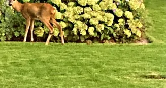 von_poll_real_estate_property_25035002_image_2