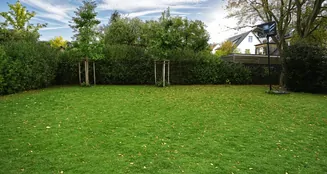 von_poll_real_estate_property_25035034_image_14