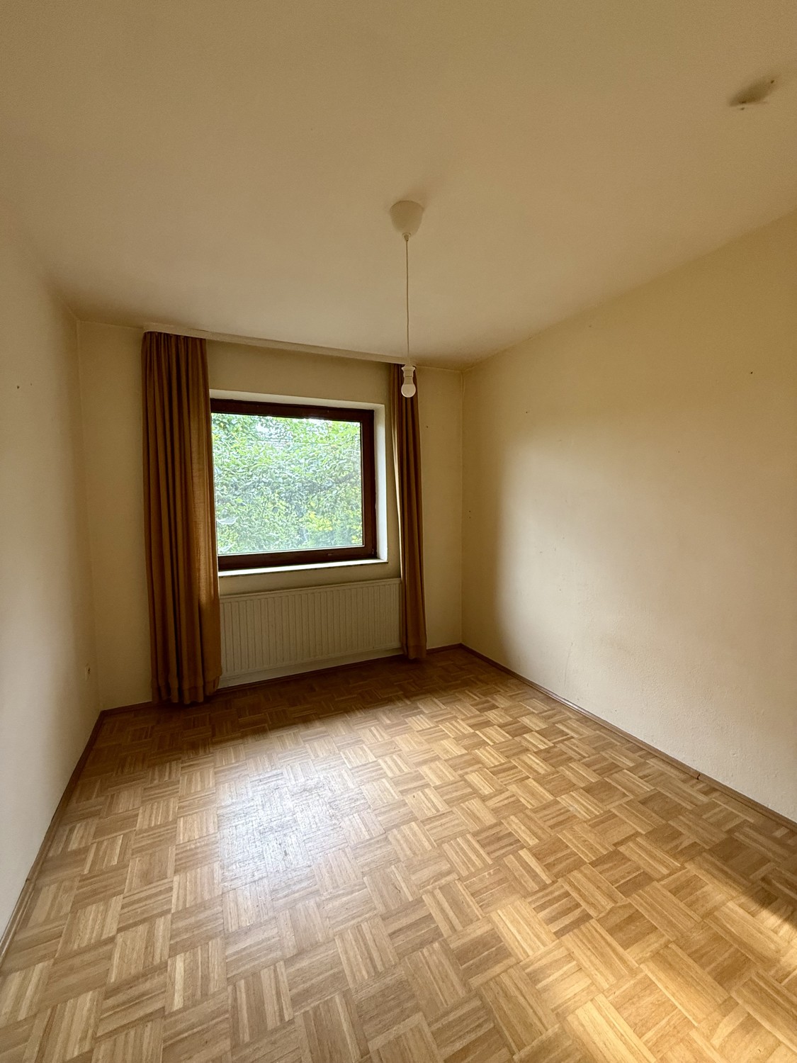 Schimmer im Erdgeschoss