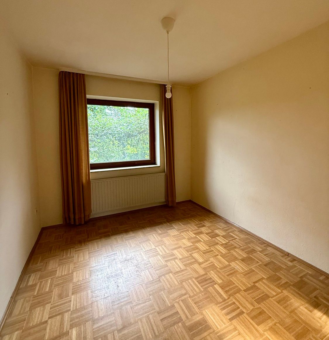 Schimmer im Erdgeschoss