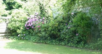 von_poll_real_estate_property_25035014_image_5