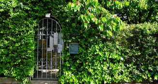 von_poll_real_estate_property_25035017_image_11