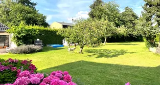 von_poll_real_estate_property_25035030_image_5