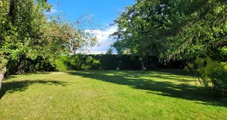 von_poll_real_estate_property_25035030_image_6