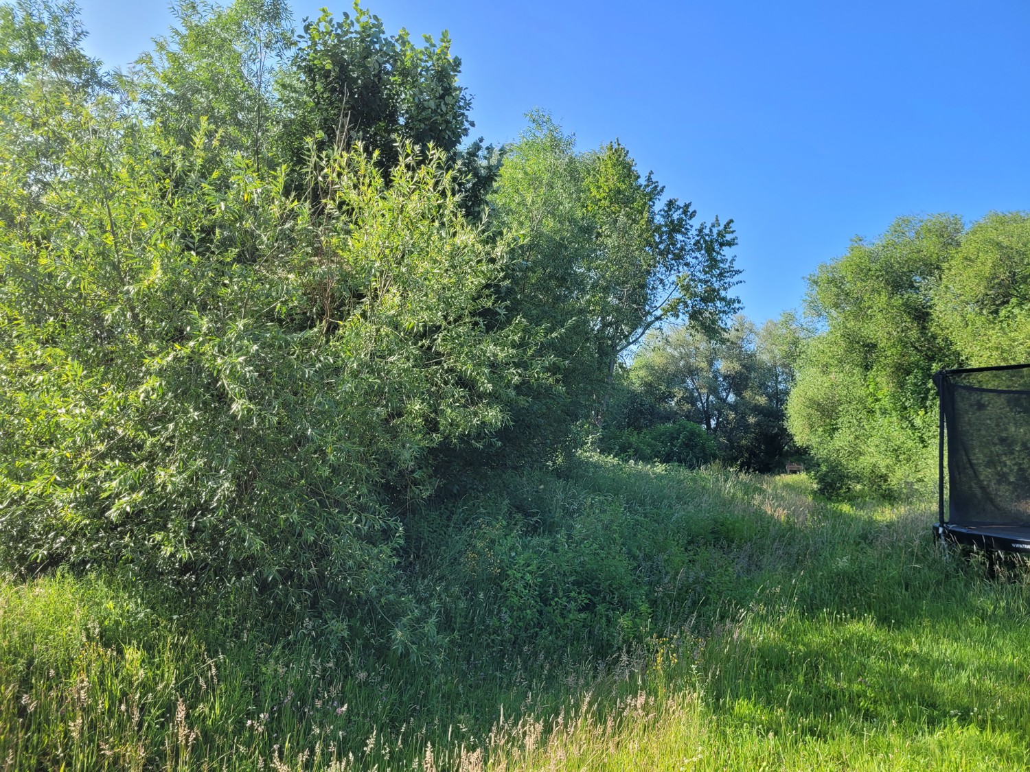 Blick in die Natur