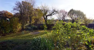 von_poll_real_estate_property_25035032_image_7