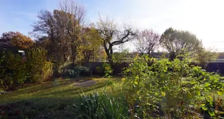 von_poll_real_estate_property_25035032_image_7