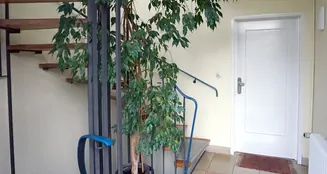 von_poll_real_estate_property_25035032_image_9