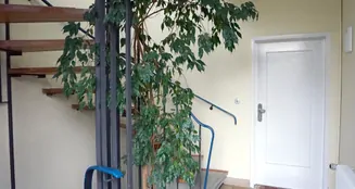 von_poll_real_estate_property_25035032_image_9