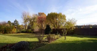 von_poll_real_estate_property_25035032_image_2