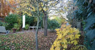 von_poll_real_estate_property_25035036_image_7