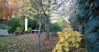 von_poll_real_estate_property_25035036_image_7