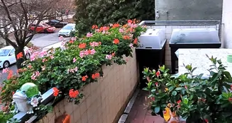 von_poll_real_estate_property_25035036_image_16