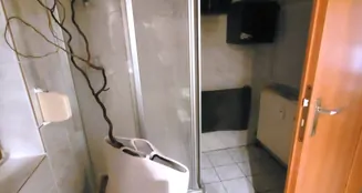 von_poll_real_estate_property_25035036_image_21