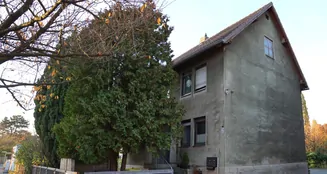 von_poll_real_estate_property_25035036_image_6