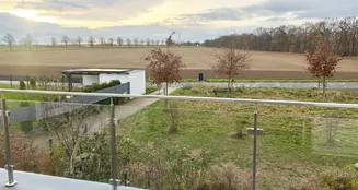 von_poll_real_estate_property_25035037_image_16