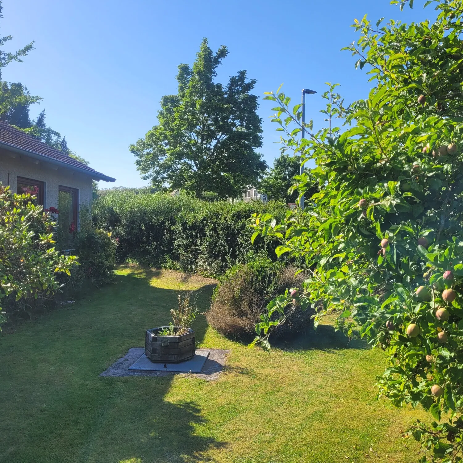 Grundstück