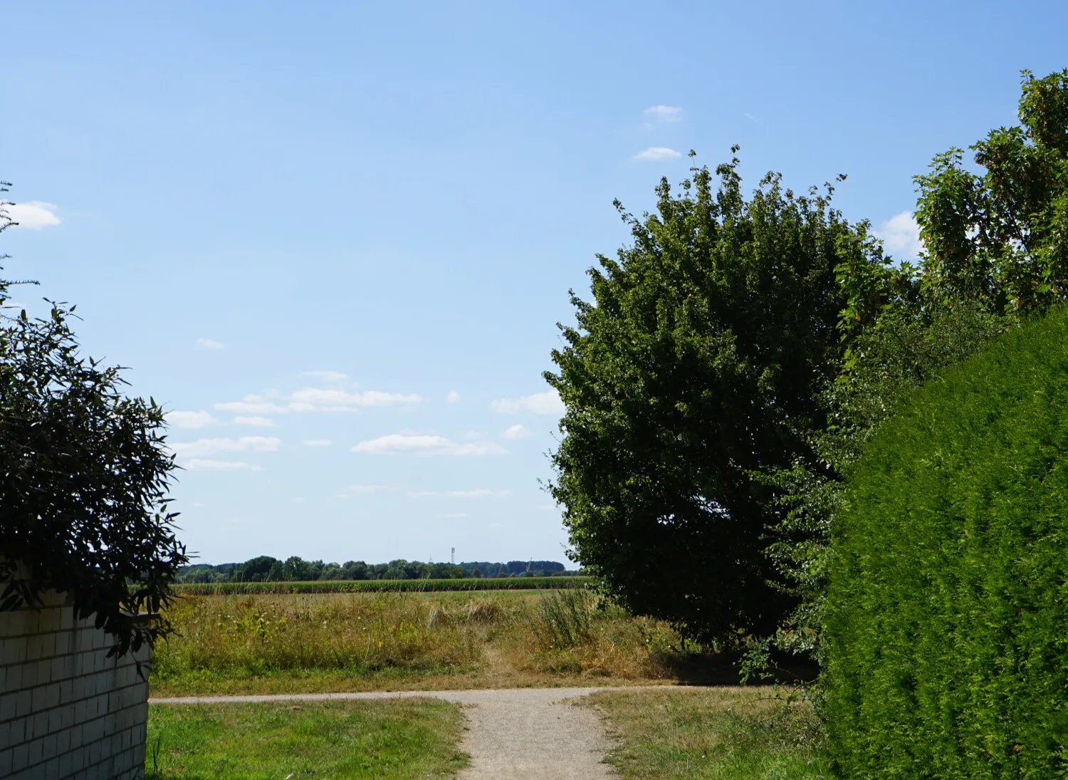 Einmalige Gelegenheit - Ackerland in besonderer Lage in Braunschweig