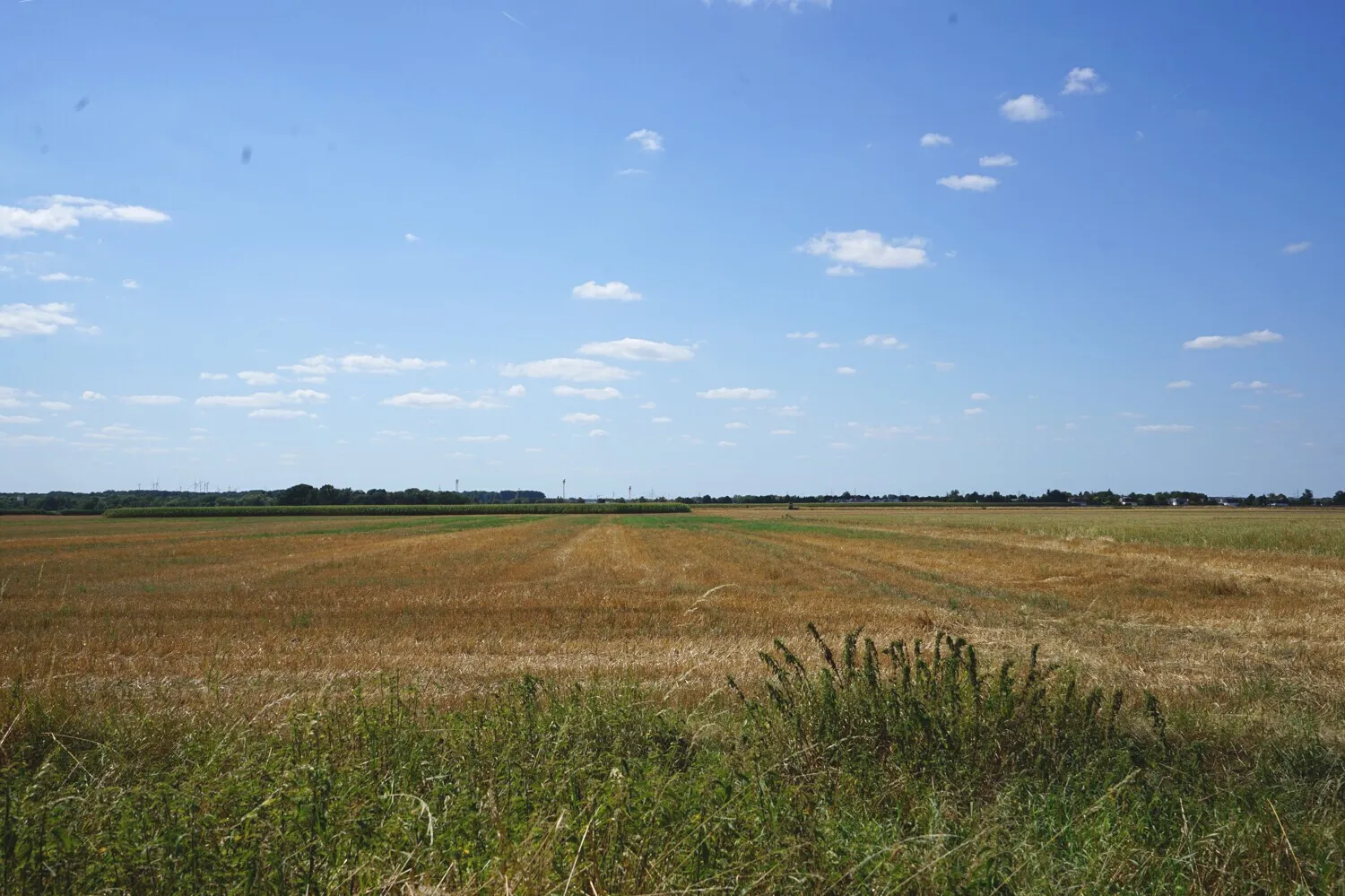 Einmalige Gelegenheit - Ackerland in besonderer Lage in Braunschweig