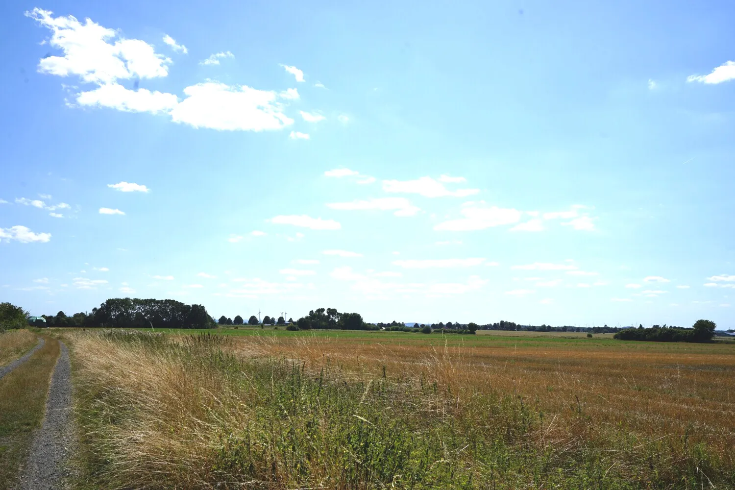 Einmalige Gelegenheit - Ackerland in besonderer Lage in Braunschweig