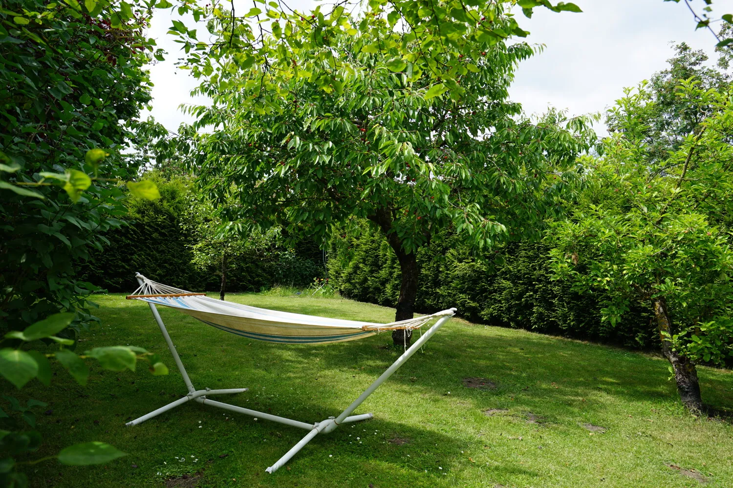 Garten