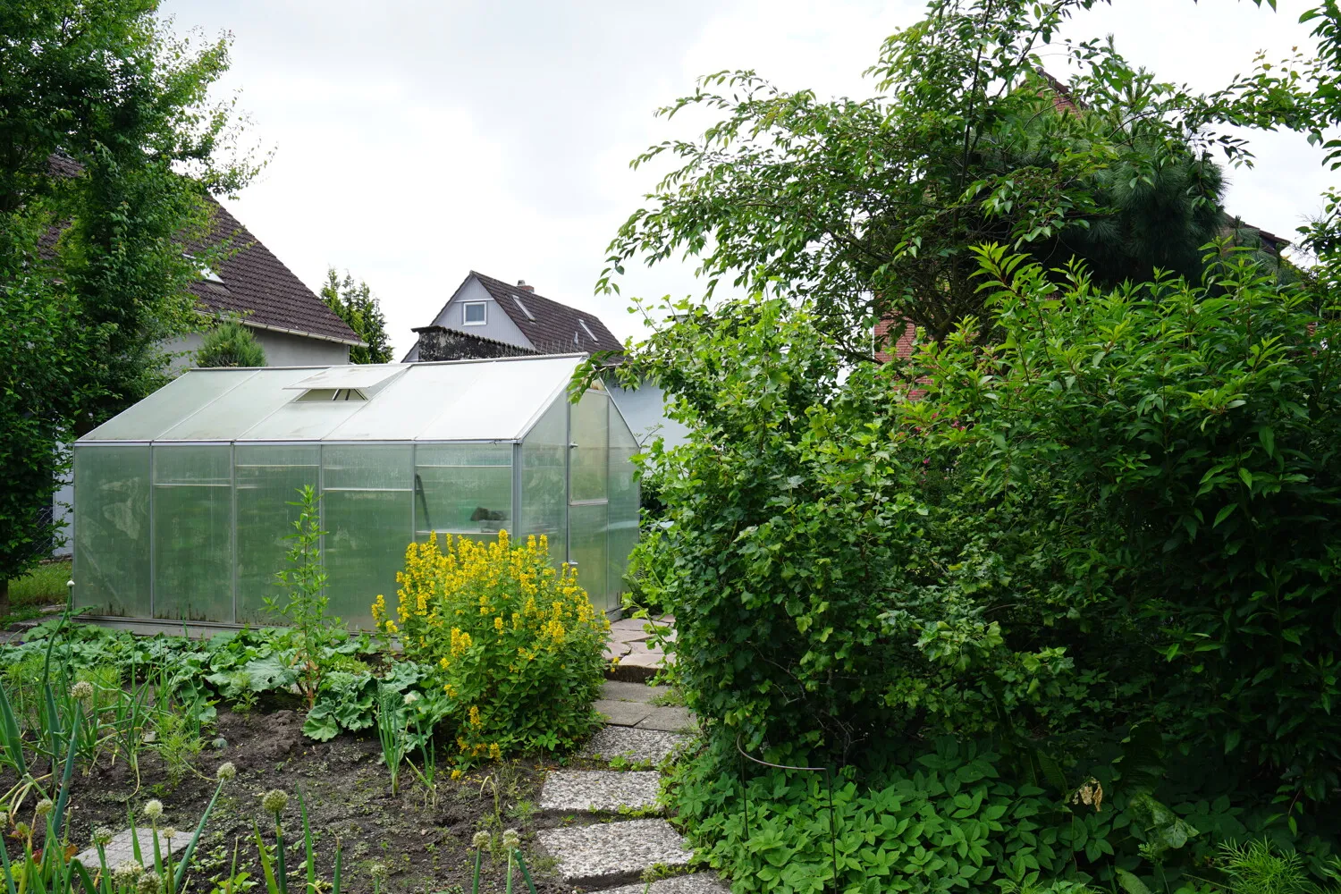 Gewächshaus