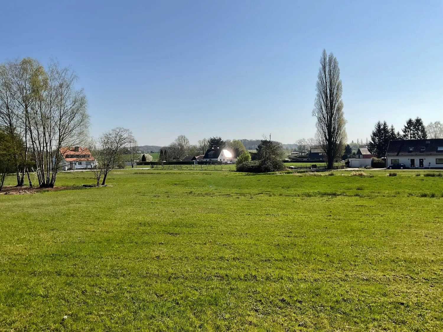 Ausblick nach Vorne