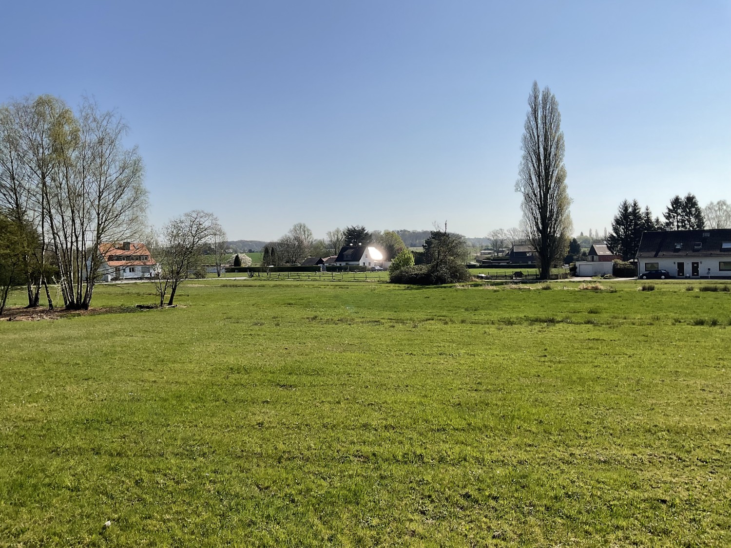 Ausblick nach Vorne
