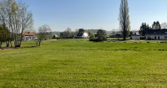 von_poll_real_estate_property_25088008_image_4