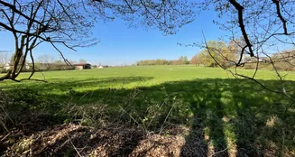 von_poll_real_estate_property_25088008_image_3