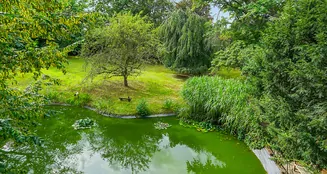 von_poll_real_estate_property_25013160_image_20