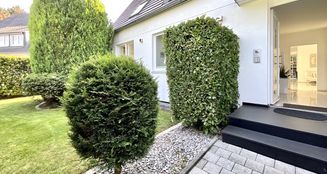 von_poll_real_estate_property_25088018_image_2