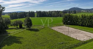 von_poll_real_estate_property_25062031_image_2