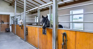 von_poll_real_estate_property_25062031_image_14