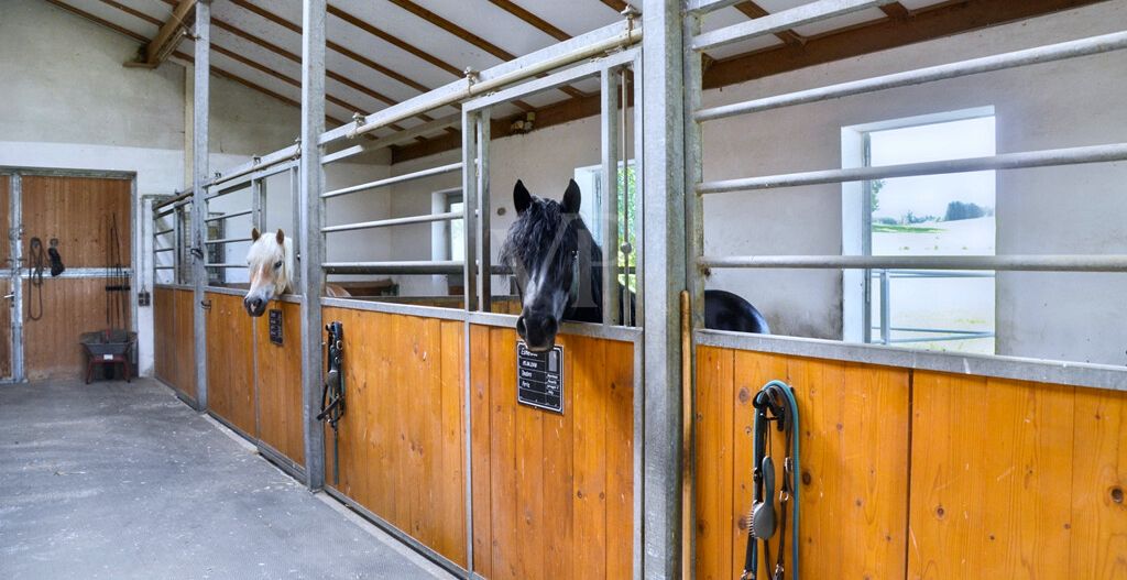 Stall