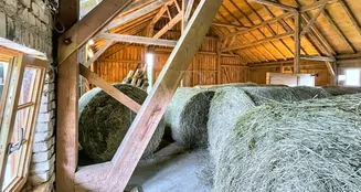 von_poll_real_estate_property_25062031_image_15