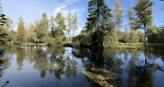 von_poll_real_estate_property_25062038_image_15